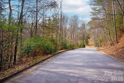 /international/us/deerlake-drive-lot-13-brevard-nc-110106282158/