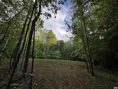 /international/us/fredericksburg-rd-ruckersville-va-110109023874/