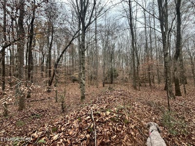 /international/us/lot-2-evergreen-drive-oneida-tn-110101312453/