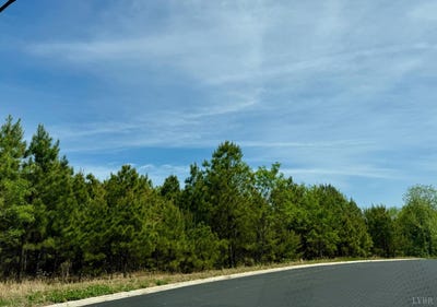 /international/us/commonwealth-drive-madison-heights-va-110107985348/