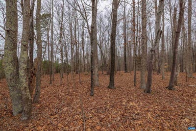 /international/us/lot-1-piney-green-rd-crewe-va-110105522473/