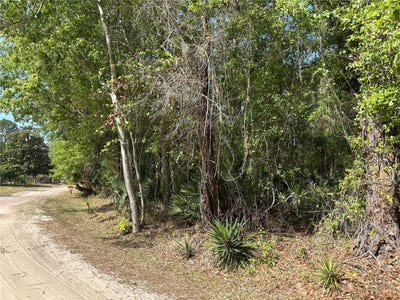 /international/us/airport-road-astor-fl-110098907839/