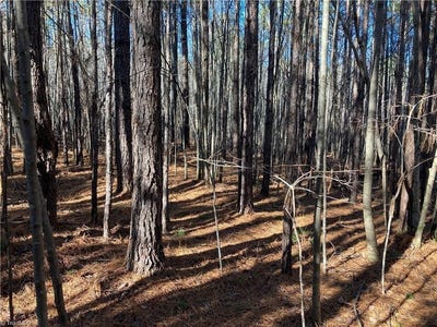 /international/us/00-nc-highway-134-n-star-nc-110100946691/