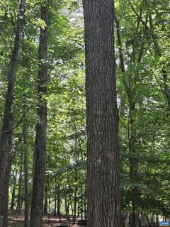 /international/us/85-laguna-rd-palmyra-va-110107727128/