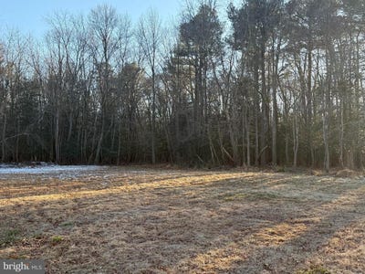 /international/us/26486-mount-joy-rd-millsboro-de-110105053811/
