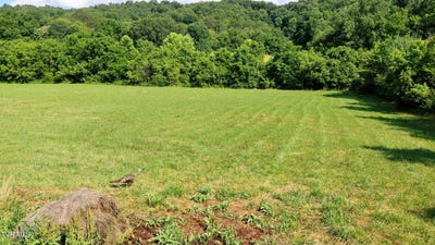 /international/us/350-north-vfw-road-bulls-gap-tn-110100720422/?lang=zh-tw