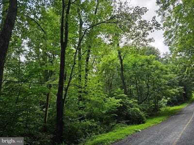/international/us/lot-2-sweetwater-road-fort-loudon-pa-110100768124/?lang=zh-tw