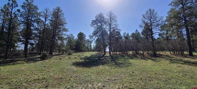 /international/us/225-badger-trail-ridgway-co-110099921649/?lang=zh-tw