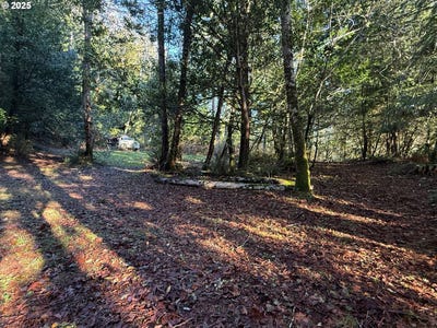 /international/us/tiernan-rd-mapleton-or-110103740062/