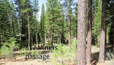 /international/us/877-miner-s-passage-clio-ca-110107055746/