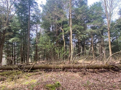 /international/us/lot-a-piermott-lane-hartwick-ny-110099191110/?lang=en