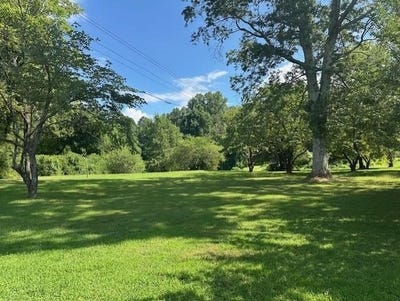 /international/us/call-wright-road-ellijay-ga-110101196397/