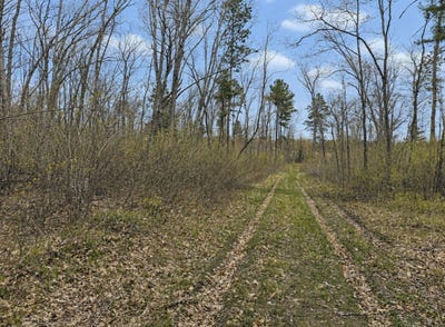 /international/us/foss-lane-spooner-wi-110105394842/