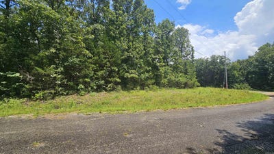 /international/us/cherokee-village-ar-110100948957/?lang=en