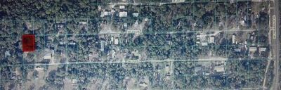 /international/us/ne-204th-lane-lot-23-fort-mc-coy-fl-110110379889/
