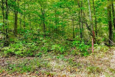 /international/us/bolestown-loop-lot-2-alpine-tn-110095365395/