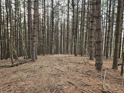 /international/us/sawmill-hill-road-willis-va-110106377169/