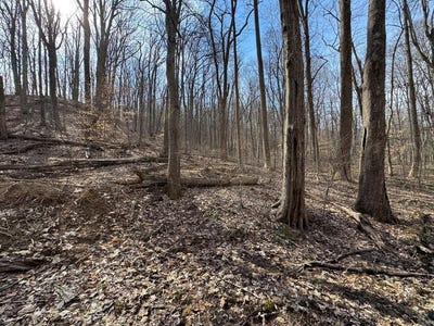 /international/us/hardwood-road-hillsboro-ky-110102599001/