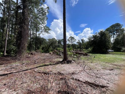 /international/us/334-redwood-boulevard-georgetown-fl-110120105111/
