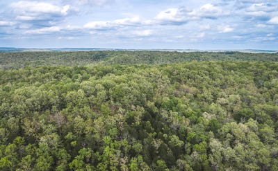 /international/us/15310-county-road-7250-newburg-mo-110108020287/