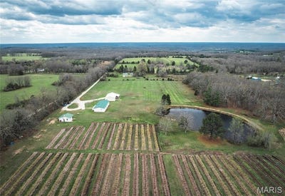 /international/us/552-lick-creek-road-leasburg-mo-110107311654/