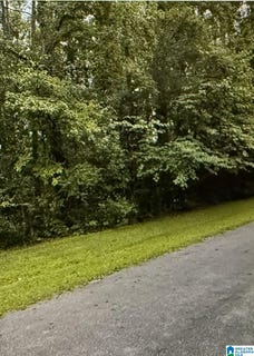 /international/us/woodside-street-lot-45-46-childersburg-al-110104340916/