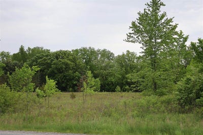 /international/us/vl-beyer-road-birch-run-mi-110099876952/