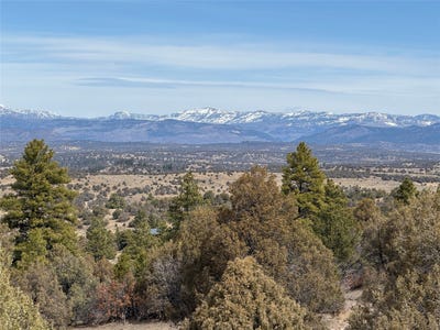 /international/us/531-state-road-95-rutheron-nm-110099037926/