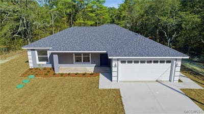 /international/us/11-bay-place-ocklawaha-fl-110107381364/
