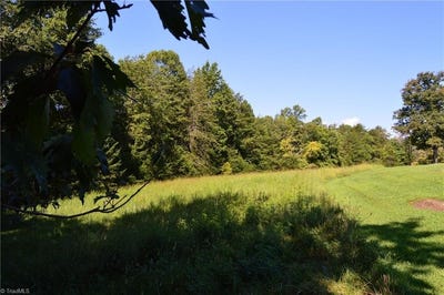 /international/us/tract-d-hanging-rock-forest-road-danbury-nc-110106025892/