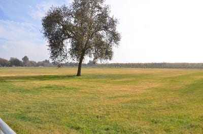 /international/us/13401-ave-328-lot-1-visalia-ca-110073064130/