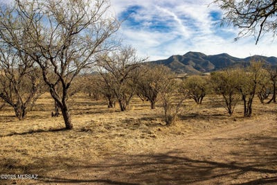 /international/us/145-three-r-avenue-patagonia-az-110108391674/