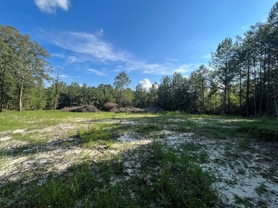 /international/us/na-eucutta-sandersville-road-rural-wayne-county-ms-110101245744/?lang=zh-cn