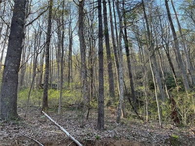 /international/us/briar-rock-trail-fancy-gap-va-110086397454/