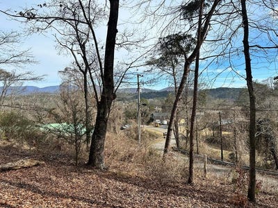 /international/us/236-logan-circle-ellijay-ga-110106242611/