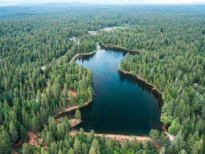 /international/us/31300-lake-ridge-drive-shingletown-ca-110120647159/