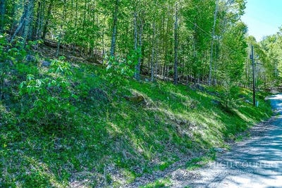 /international/us/241-lakeledge-road-beech-mountain-nc-110108267273/