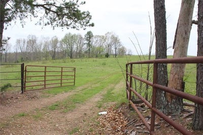/international/us/001-08184-000-n-hwy-125-yellville-ar-110096655096/