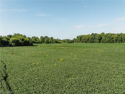 /international/us/sycamore-road-centerburg-oh-110110001936/