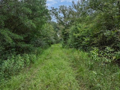 /international/us/tbd-west-caney-road-normangee-tx-110101216693/?lang=zh-tw