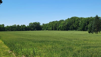 /international/us/evergreen-rd-huntington-in-110108541225/