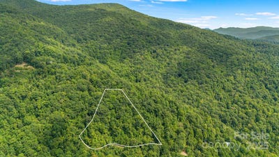/international/us/cat-pen-branch-road-lot-21-hot-springs-nc-110104539261/