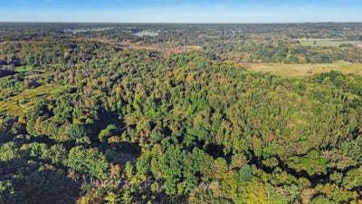 /international/us/n-county-line-road-watervliet-mi-110110407183/
