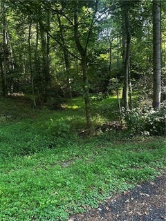 /international/us/000-walker-lane-millers-creek-nc-110100511078/