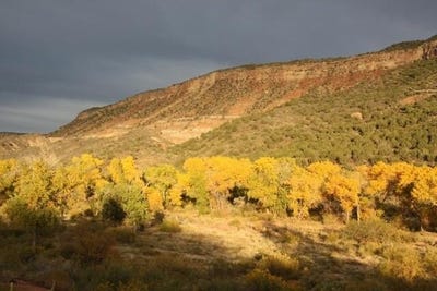 /international/us/kolob-gate-gardens-virgin-ut-110080825074/