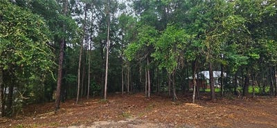 /international/us/timber-creek-drive-n-axis-al-110109042416/?lang=zh-cn