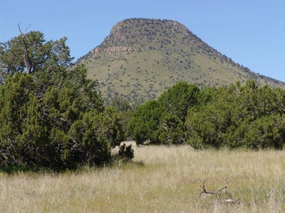 /international/us/56-northern-trail-datil-nm-110100584585/