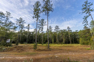 /international/us/0-whitehouse-fork-road-bay-minette-al-110090437473/