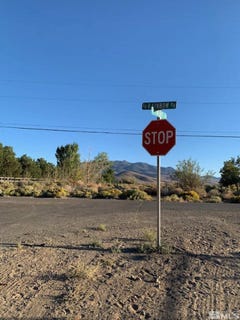 /international/us/80-s-pinenut-dayton-nv-110079733065/