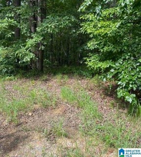 /international/us/willow-way-drive-lakeview-al-110100450048/